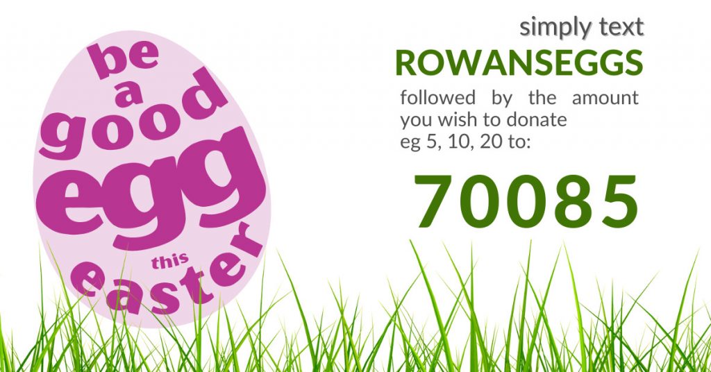 Web Image Donate Cash for Eggs this Easter