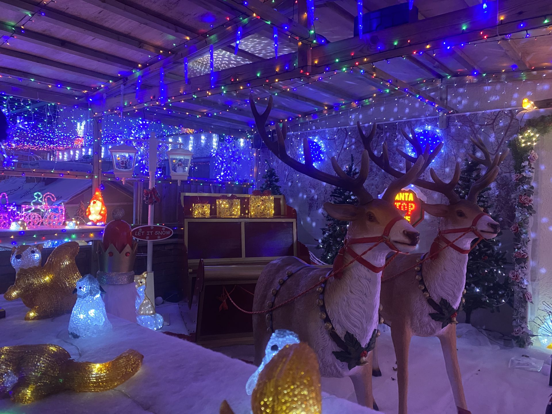 Christmas Lights Displays Rowans Hospice