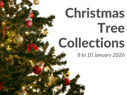 Christmas Tree Collection 2026